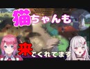 【のぞめる】猫ちゃんもこんなに来てくれてます