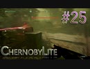 【CHERNOBYLITE】チョルノービリ原発を探索するホラーなクラフトFPSでRPGする実況。＃２５