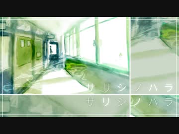 〘 サリシノハラ / みきとP 〙covered by 掬梨さち