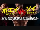 【筋トレ】ホエイプロテインとソイプロテイン どちらが筋肥大に効果的か？ | ボディビルチャンピオンが解説【ビーレジェンド プロテイン】