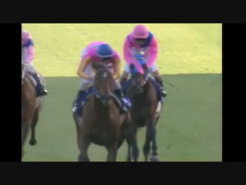 第45回有馬記念の最終直線正面視点