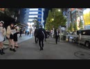 夜の秋葉原メイドたちの声掛けを無視して進む2020年11月17日