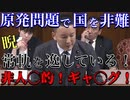 【国会切り抜き】山本太郎「ギャ○グ！非人○的！」と国会で政府を非難。後ろにいた小野田議員が・・・