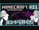 【マイクラ】ぐだぐだエンドラ戦【バ美肉Vtuber】【MOD】Part11