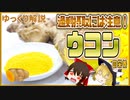 【ゆっくり解説】ウコンの栄養について解説！