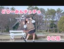 【うに花】どりーみんチュチュ 踊ってみた
