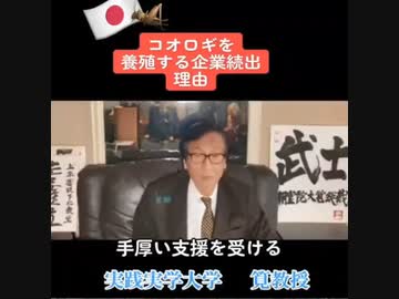 【SDGs】企業・大学がコオロギ養殖に参入する理由