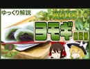 【ゆっくり解説】ヨモギの栄養について解説！