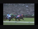 第45回有馬記念の最終直線内馬場視点