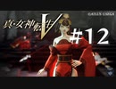 【真・女神転生V】#12 謎の悪魔【ネタバレ注意】