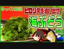 【ゆっくり解説】海ぶどうの栄養について解説！