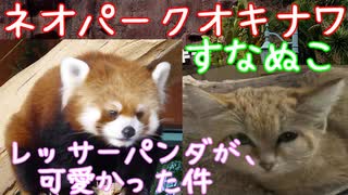 ネオパークオキナワ レッサーパンダが可愛かった件