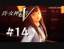 【真・女神転生V】#14 タオの相談【ネタバレ注意】