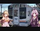 ボイロと旅する一人旅３【豊橋～浜松編】