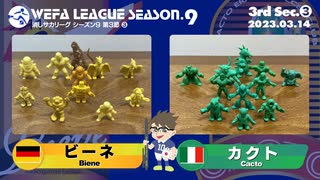 WEFA LEAGUE SEASON.9 第3節 ❸ ビーネ× カクト