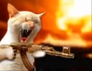 Cat with AK-47