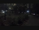 夜の足立区しょうぶ沼公園 2020年11月20日