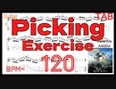 Kiko Loureiro PICKING Exercise ANGRA / NOVA ERA TAB アングラ キコ･ルーレイロ ピッキング練習 スキッピング練習 BPM120【SKIPPING】