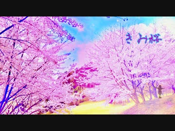 Laigu - きみ桜 feat. Mai【Official MV】