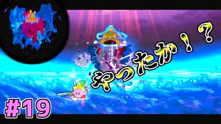 【星のカービィWiiデラックス】#19 成敗！【初見プレイ】