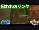 【ゼルダの伝説スカイウォードソード】空と大地と時々姫と_Part43【実況】