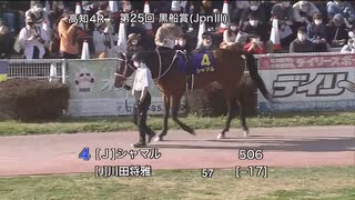 農林水産大臣賞典 第25回黒船賞 パドック～本馬場入場