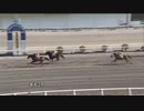 2023年3月14日高知競馬2R ＪＢＣ２０２３は大井・門別 トゥインクルファンファーレ特別(A-4組) サノハニー