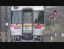 【のら】高山本線を走行するキハ85 その32　定期運転終了が迫る