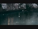 春の水槽 / 可不