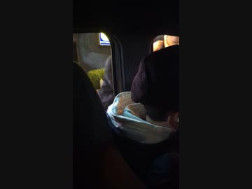 ホモと見る都会のサファリパーク