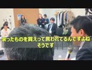 これは大拡散です！「酪農家には捨てろと言いながら輸入が100万t増加している」