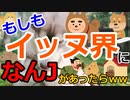 [ゆっくり]　ネタスレ③　もしもイッヌの世界になんJがあったら立ってそうなスレ