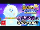 【星のカービィ Wii デラックス実況】空から謎の宇宙船が！？カービィの人助けの冒険がはじまる！！part20