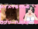 メイメイのハムスターの日常。45