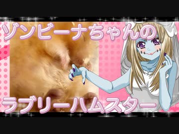 ゾンビーナのハムスターの日常。18