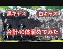 黒キャスと白キャスを合計40体溜めてみた！超極ネコ祭揃い踏み！【にゃんこ大戦争】