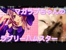 マガラブのハムスターの日常17
