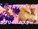 マガラブのハムスターの日常18