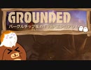 【Grounded】バーグルチップ集め！VS大王シロアリ！ #37【ゆっくり実況】