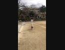 赤ちゃんのピッチング練習