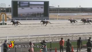 第7回中京ペガスターカップ スタンレー