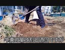 第4期カツドンチャンネル　アマゾンギフトで戴いた牛糞堆肥で土作り(＋球根移植)