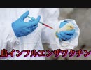 バイデンがmRNAワクチンをアメリカ産ニワトリに接種する計画を発表
