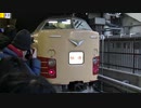 【ミニ乗車記録】  らくらく青梅マラソン 号 南武線 川崎駅 に 189系 ！