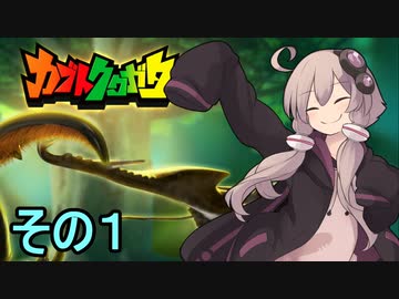 ゆかりさんの昆虫採集記１【カブトクワガタ】