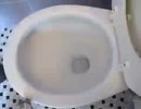 The Flushing of the Cereal
