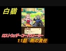白猫　ロストウェザーコードストーリー　１１話　雨の責任　ガチャキャラ　ジーク（槍）サテラ（双剣）　＃２１　【白猫プロジェクト】
