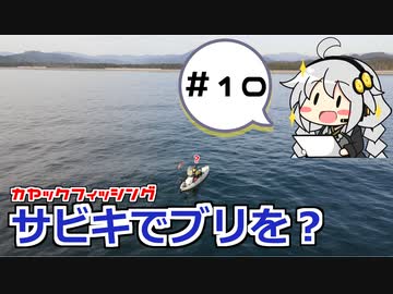 カヤックフィッシング　＃１０　サビキでブリ！【VOICEROIDフィッシング】