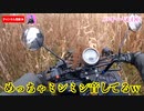 【絶望】大失敗！3万円の中華バギーがブッ壊れた...【50cc/四輪バギー】