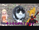 ＮＳ－１で行く！照島♪